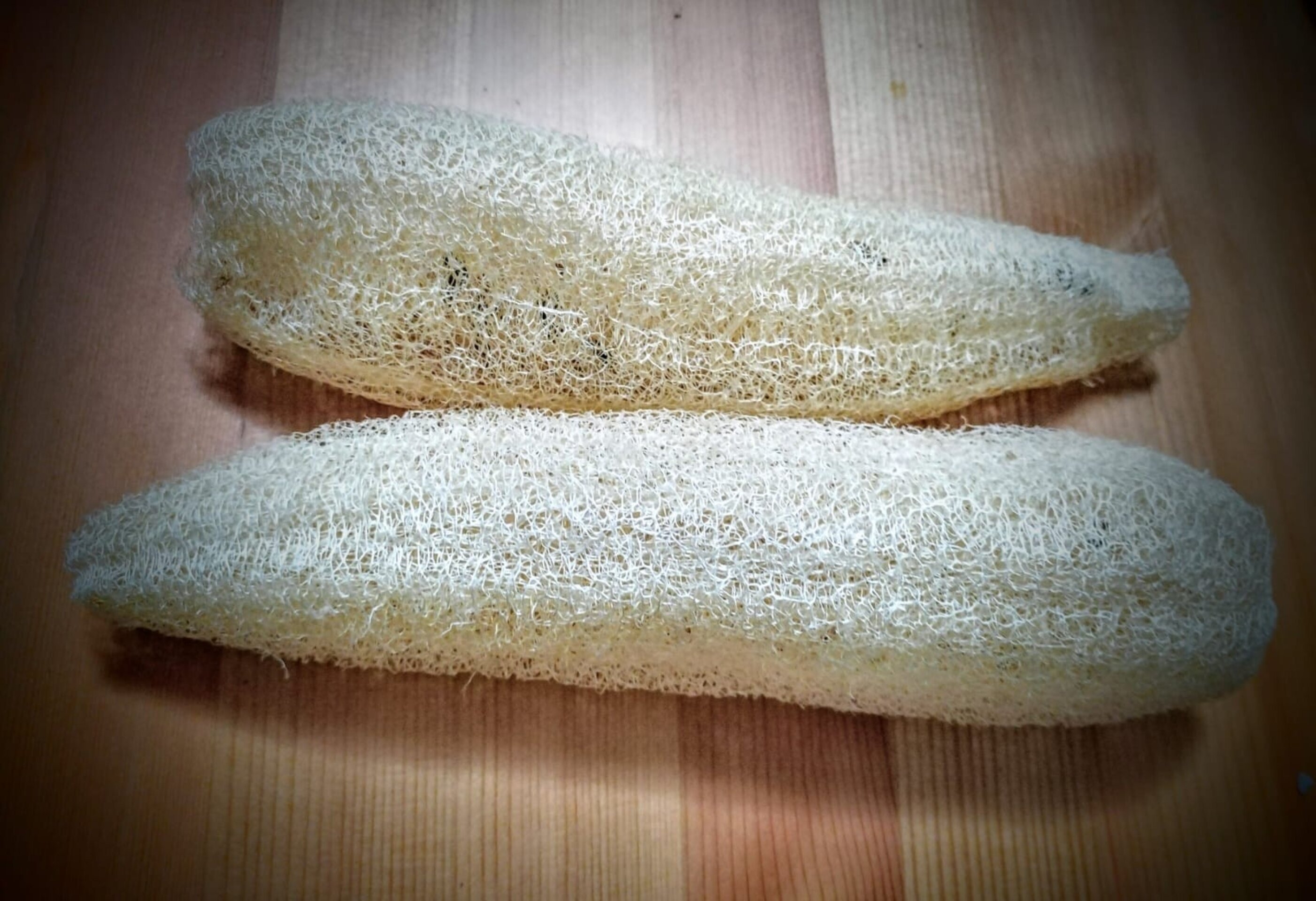 Esponjas vegetales