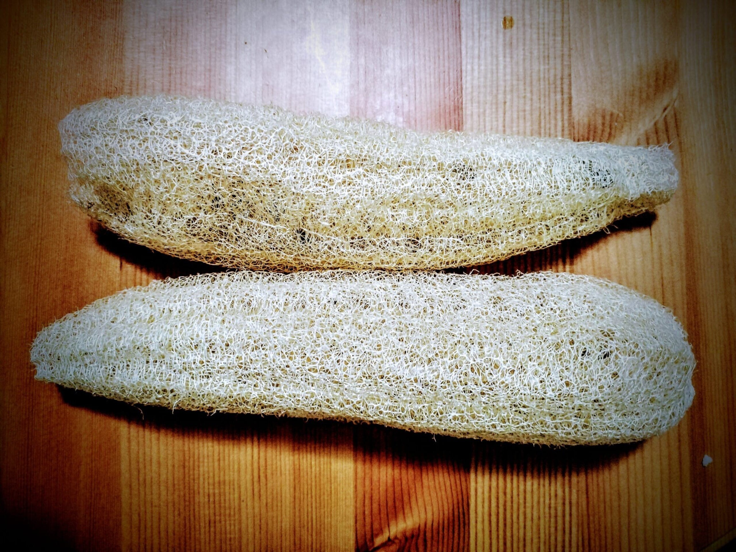 Esponja de luffa grande natural. - 2