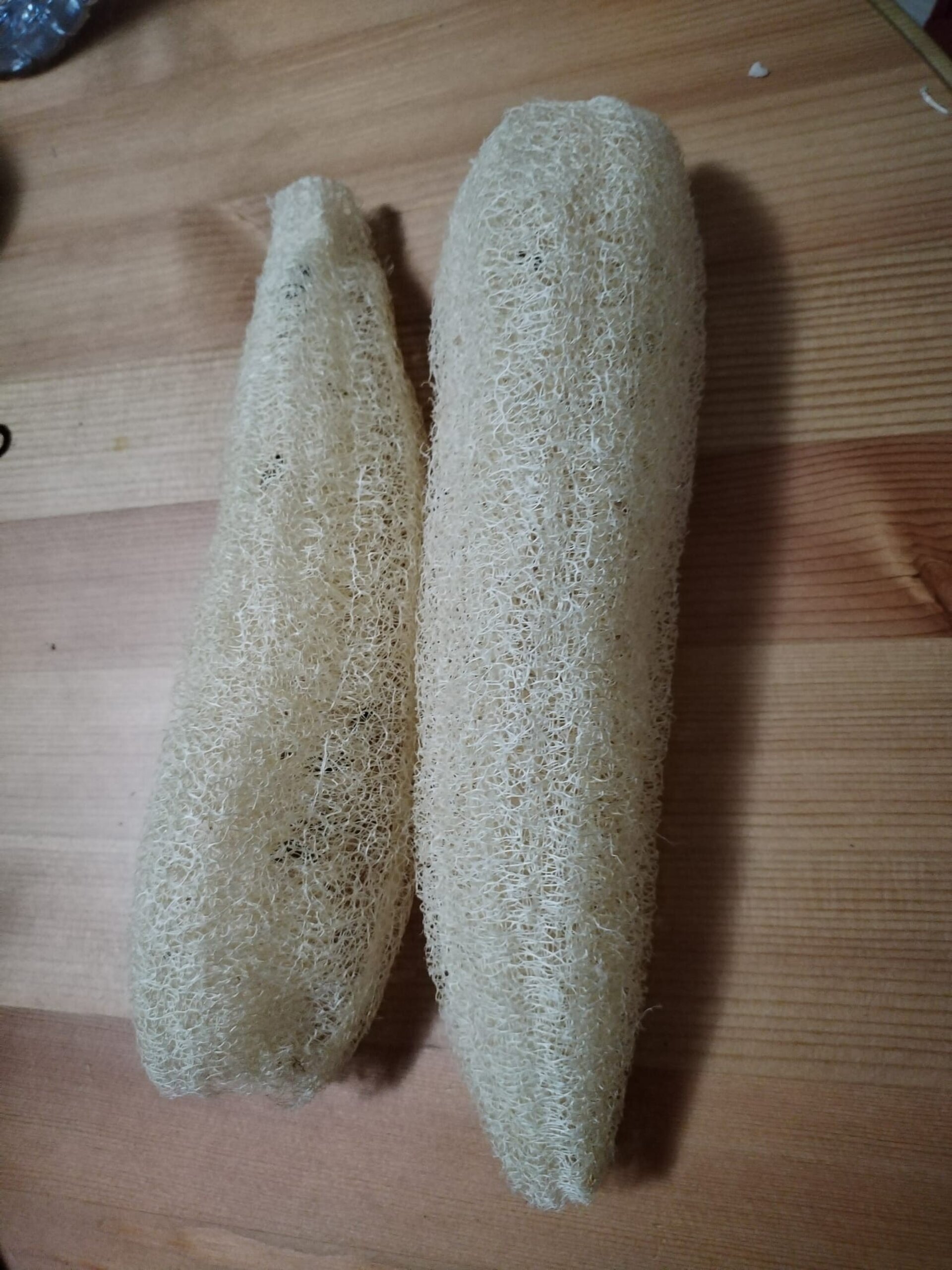 Esponja de luffa grande natural. - 3